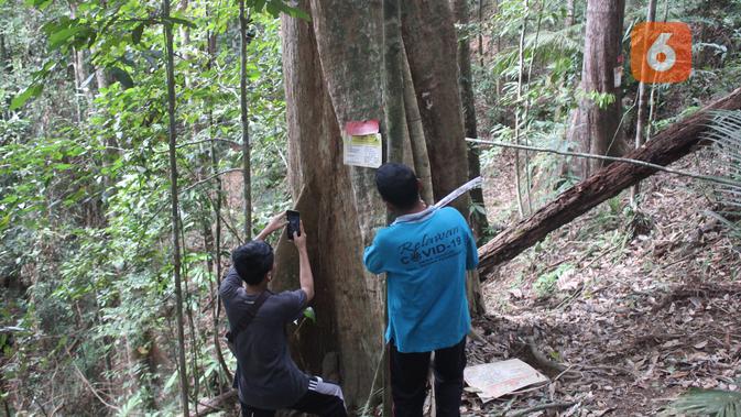 Anhsori (kanan) bersama warga Desa Guguk menunjukan pohon asuh di Hutan Adat Guguk. (Liputan6.com/Gresi Plasmanto)