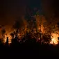 Petugas pemadam kebakaran memadamkan api saat kebakaran hutan dan lahan (karhutla) di Pekanbaru, Riau, Jumat (13/9/2019). BMKG Pekanbaru memperingatkan masyarakat waspada terhadap penurunan kualitas udara dan jarak pandang karena peningkatan polusi. (ADEK BERRY/AFP)
