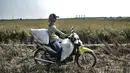 Petani menggunakan sepeda motor untuk mengangkut hasil panen di persawahan kawasan Rorotan, Jakarta, Kamis (30/7/2020). Menurut Mansyur (57), dalam setahun petani di Rorotan mampu memanen padi selama 3 kali dengan rata-rata menghasilkan padi sebanyak 7 ton tiap hektarenya. (merdeka.com/Iqbal S. Nugr