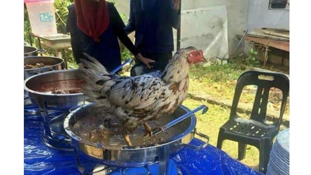 6 Momen Apes Saat Memasak Ini Bikin Tepuk Jidat