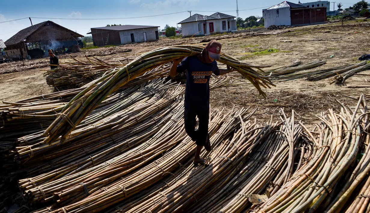 Seorang pekerja membawa rotan untuk dikeringkan untuk diekspor di sebuah bengkel di Banda Aceh (7/1/2020). Aceh merupakan salah satu sentra produksi rotan terbesar di Sumatera.  (AFP Photo/Chaideer Mahyuddin)