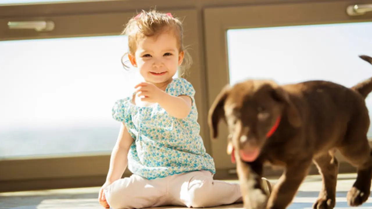 Foto: copyright www.thinkstockphotos.com