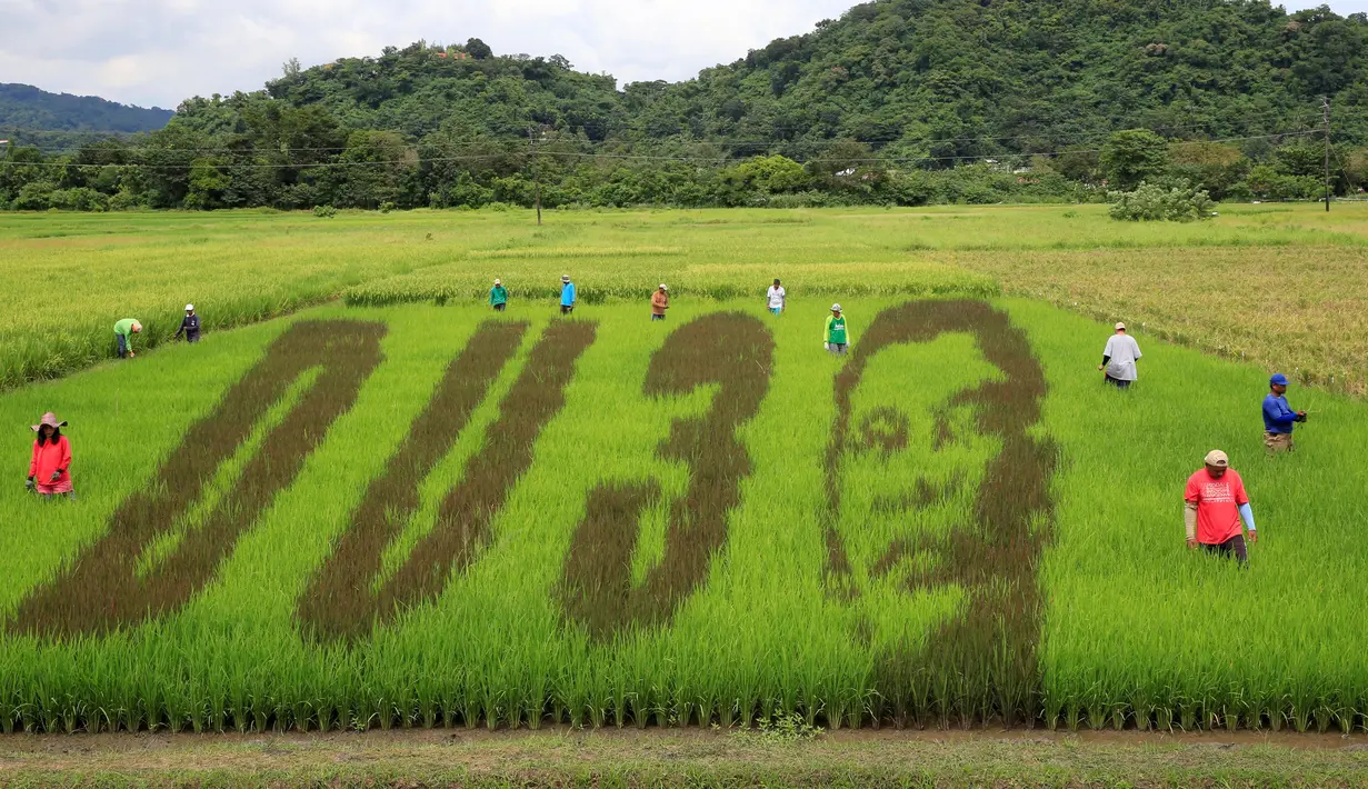 Petani menyelesaikan karya seni bergambar wajah Presiden Filipina Rodrigo Duterte dengan huruf D U dan nomor 3, sebuah permainan kata dari nama Presiden "DU30", di areal persawahan Kota Los Banos, Manila Selatan, Kamis (6/10). (REUTERS/Romeo Ranoco)