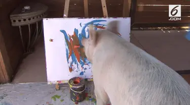 Seekor babi bernama Pigcasso menjadi terkenal setelah menjadi pelukis. Lukisan abstrak Pigcasso terjual dengan nilai ribuan dollar.