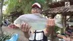 Sayangnya, pengunjung tidak dapat membawa pulang ikan yang telah dipancing.