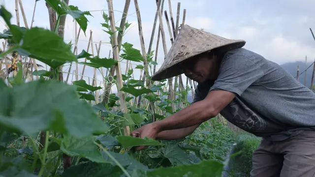 Mengenal Desa Angseri, Desa dengan Tata Kelola Terbaik dalam Program Desa BRILIaN 2023