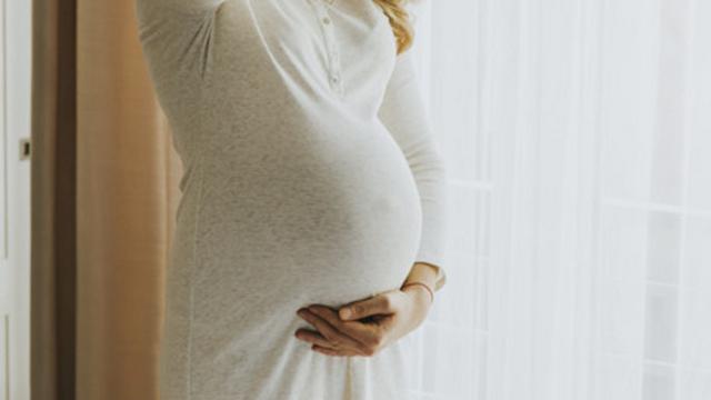 Ilustrasi fertilisasi