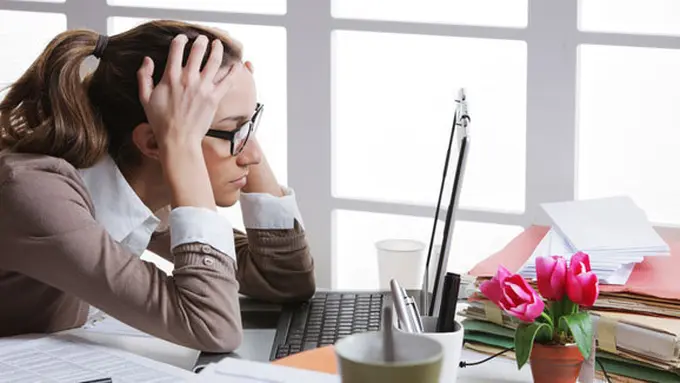 copyright by shutterstock.com