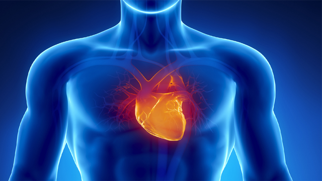 Kenali Tanda-tanda Penyempitan Pembuluh Darah di Jantung Kamu