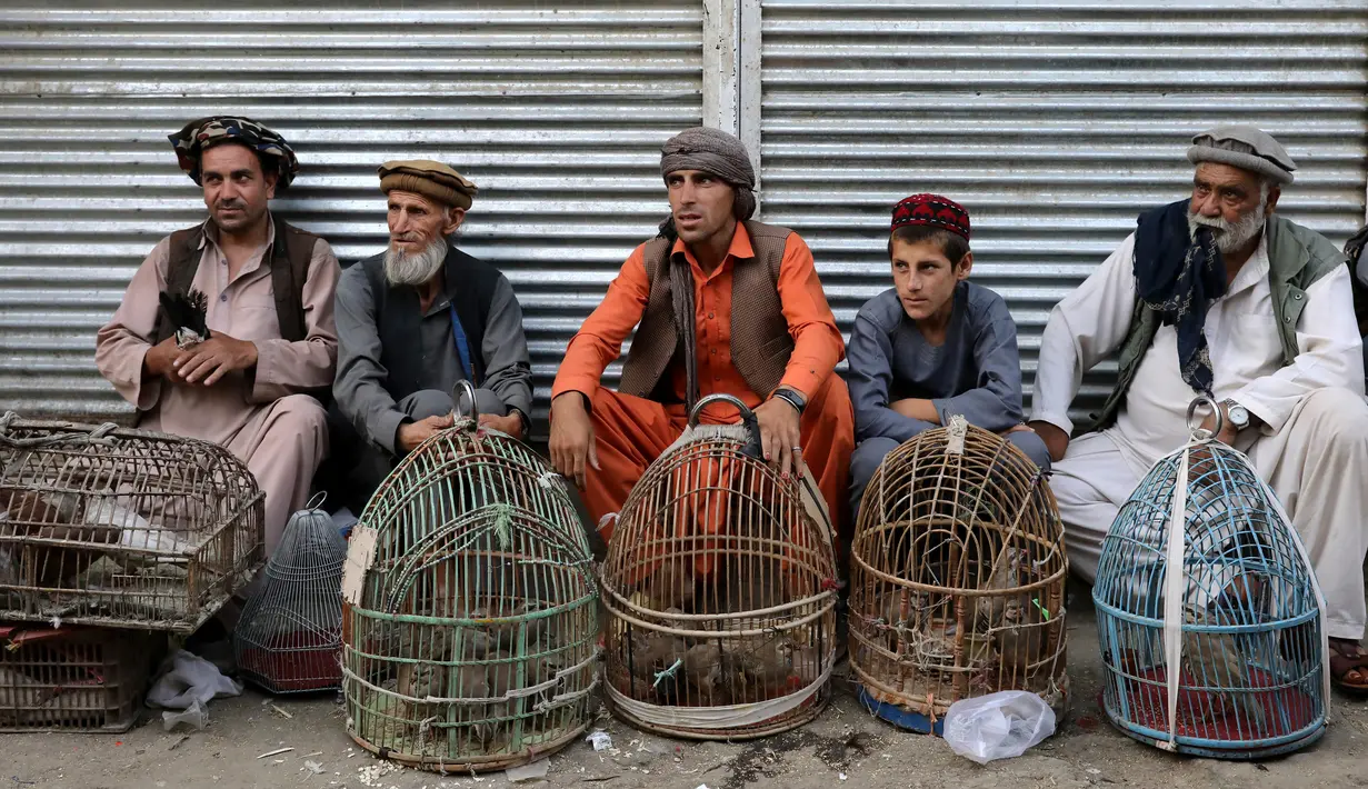 Penjual burung menunggu pembeli di Pasar Kota Tua Kabul, Afghanistan, Minggu (8/9/2019). Orang Afghanistan sangat suka daging. (AP Photo/Ebrahim Noroozi)