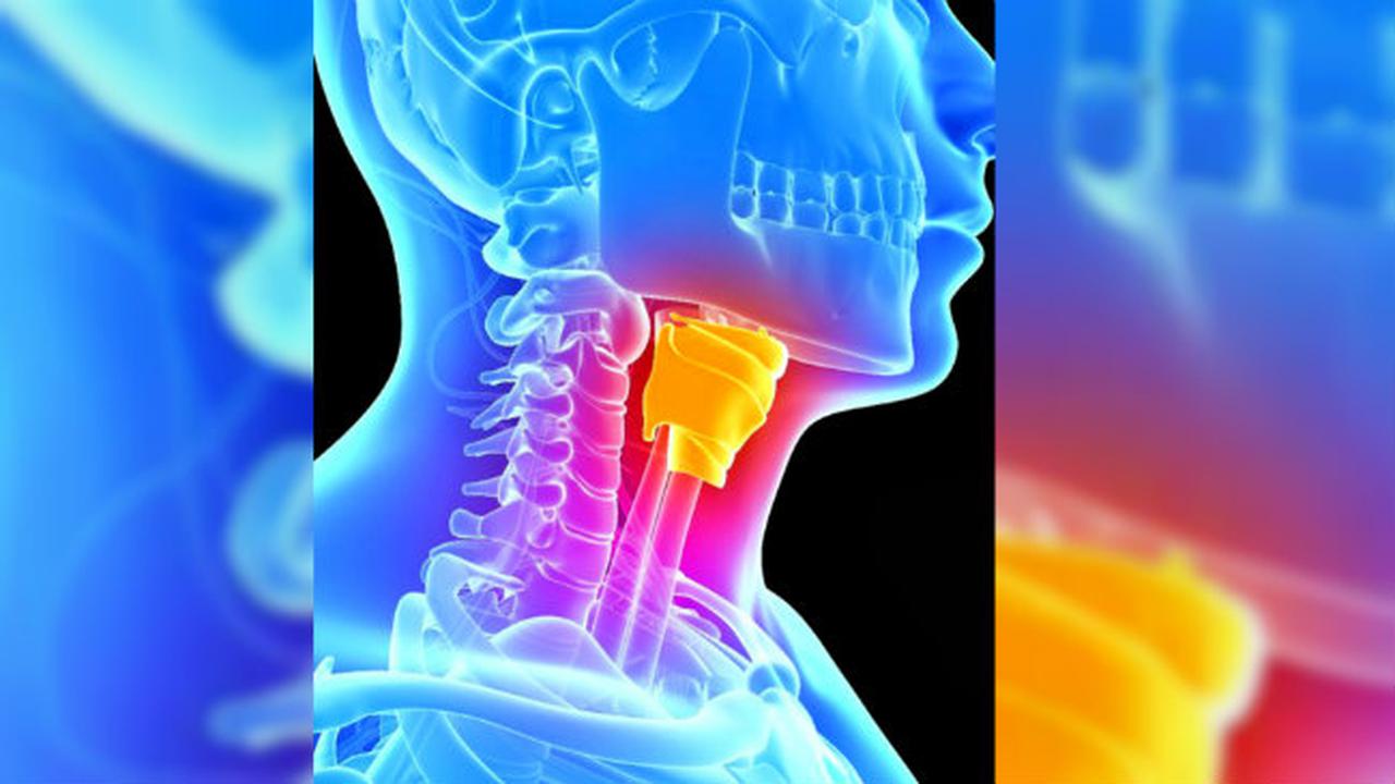 Pertama di Dunia, Pita Suara Ini Dibuat di Laboratorium