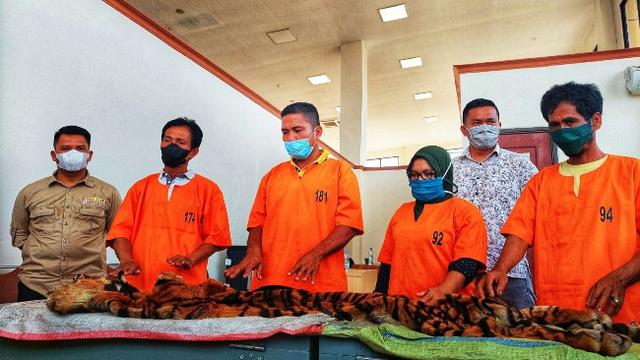 Empat tersangka penjual kulit harimau sumatra dengan barang bukti kejahatannya.