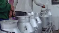 Studi Terbaru Ungkap Dampak Serius Perubahan Iklim terhadap Produksi Susu Sapi