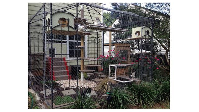 Niat Banget, 6 Kandang Kucing Ini Punya Desain Unik