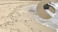 Penampakan 'Bola' Hitam Misterius Muncul di Pantai Australia, Fenomena Apa?
