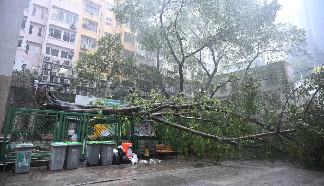 Terjangan Topan Ragasa akan disertai angin kencang dan hujan lebat yang diprediksi menyebabkan badai besar serta tingginya gelombang laut. (Peter PARKS/AFP)