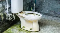 Ilustrasi toilet yang berlumut. (c)&nbsp;WDNLD/Depositphotos.com
