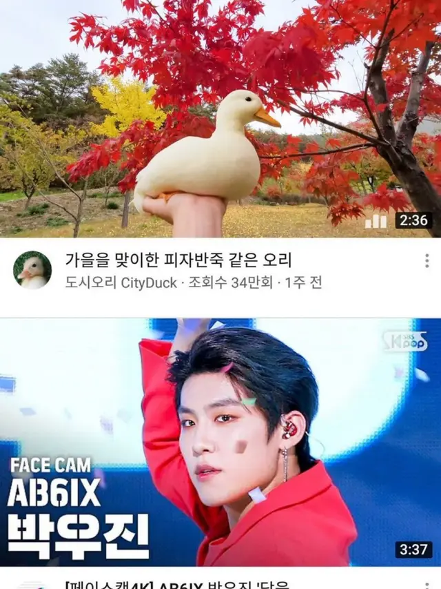 Momennya Pas, 6 Potret Tangkapan Layar Timeline YouTube Ini Bikin Ketawa Geli