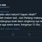 Jawaban netizen pertanyaan kapan nikah? (Sumber: Twitter/orangdewasaa)