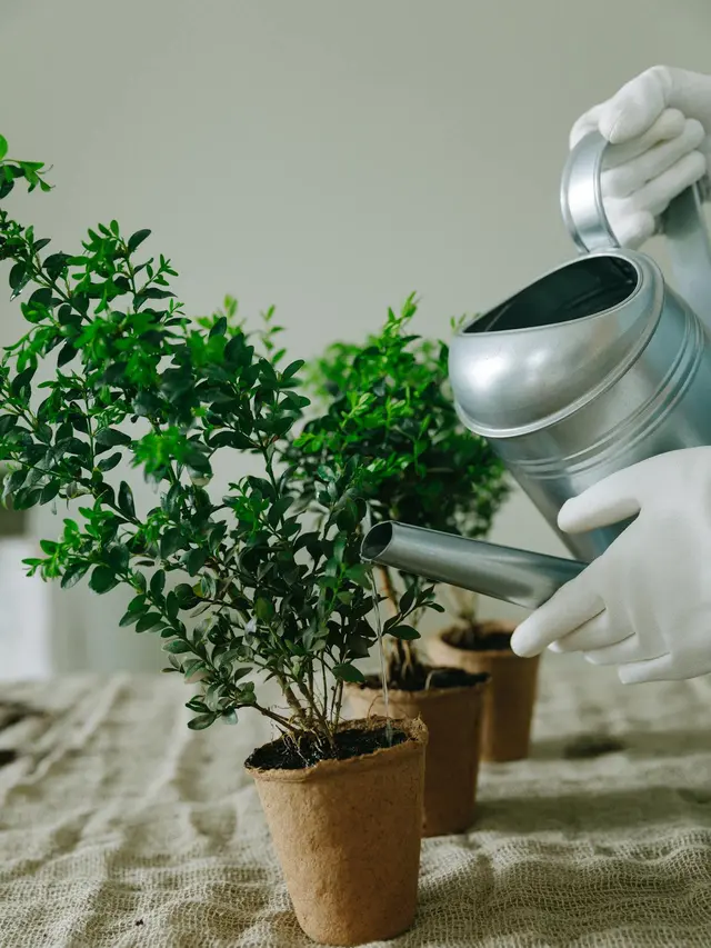 5 Tips Menjaga Rumah Tetap Rapi dan Cozy agar Secantik di Pinterest