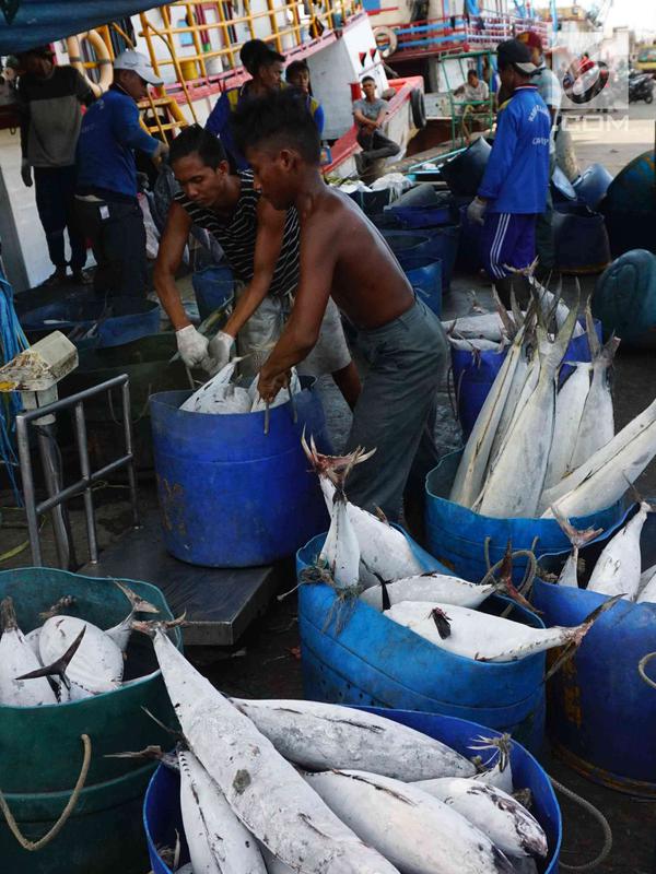 Nelayan menimbang ikan hasil tangkapan laut untuk dijual di Muara Baru, Jakarta, Kamis (29/3). KKP terus mengupayakan peningkatan ekspor komoditas perikanan hasil tangkapan dari nelayan tradisional. (Liputan6.com/Angga Yuniar)