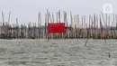 Papan segel Dirjen PSDKP KKP telah dipasang di kawasan pagar laut Pesisir Tarumajaya sejak Rabu 15 Januari 2025. (Liputan6.com/Herman Zakharia)