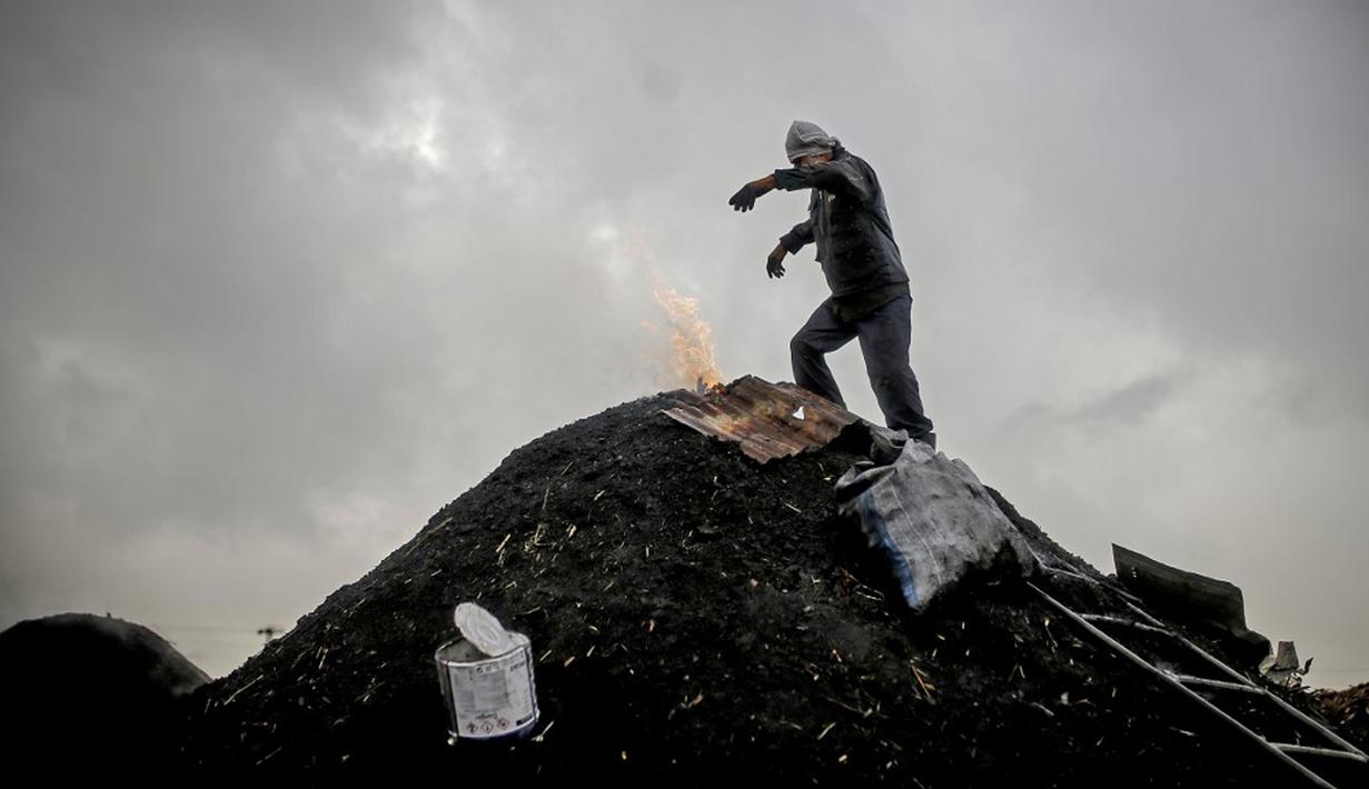 Pekerja membakar kayu di fasilitas produksi arang al-Hattab, sebelah timur Kota Gaza, Palestina, 28 Januari 2021. Ketika api sudah padam, pasir dibersihkan dan kayu yang terbakar ditinggalkan selama enam hari. (Mohammed ABED/AFP)