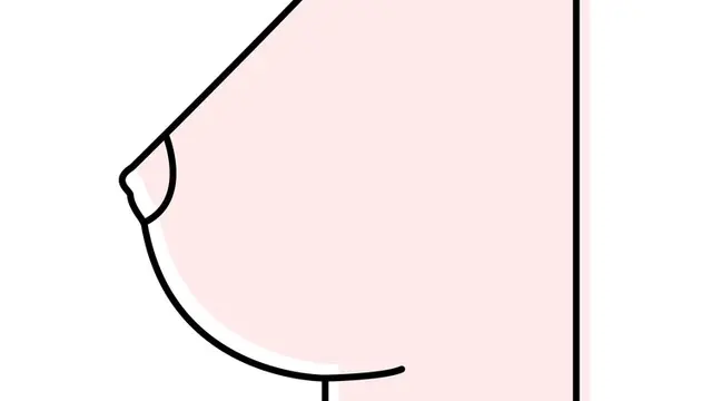 [Bintang] Payudara bentuk standar atau umum