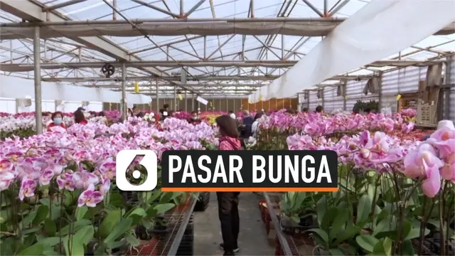 VIDEO: Sambut Imlek Hong Kong tetap Gelar Pasar Bunga dengan Protokol Kesehatan Ketat