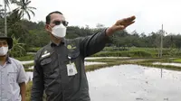 Tingkatkan Indeks Pertanaman dan Produktivitas Pertanian Garut, Kementan Dorong Program Optimasi Lahan Kering.