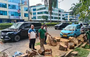 Detik-detik Pohon Tumbang Timpa Mobil di Kelapa Gading
