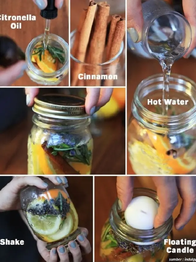 DIY pengusir nyamuk di rumah