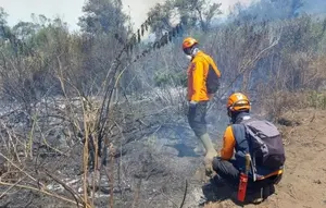 Gunung Buthak dan Kawinajang Berstatus Darurat