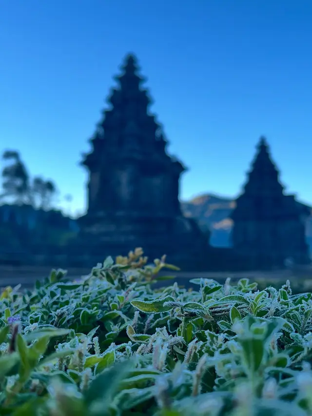 Kompleks Candi Arjuna
