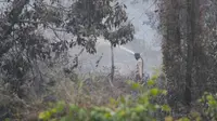 Personel Satgas Karhutla Riau berusaha memadamkan sisa kebakaran lahan agar tidak menimbulkan kabut asap. (Liputan6.com/M Syukur)