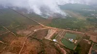 Pola kebakaran hutan dan lahan (karhutla) bahwa hutan dan lahan sengaja dibakar di Kalimantan pada 20 September 2019. (Dok Badan Nasional Penanggulangan Bencana/BNPB)