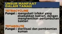 Berdasarkan hasil riset, dalam tanah terdapat unsur tetracyclne dan tetarolite yang biasa digunakan sebagai obat untuk membunuh kuman. 