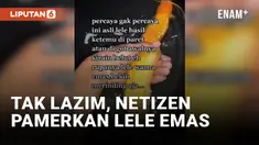 Viral! Video Ikan Lele Berwarna Emas