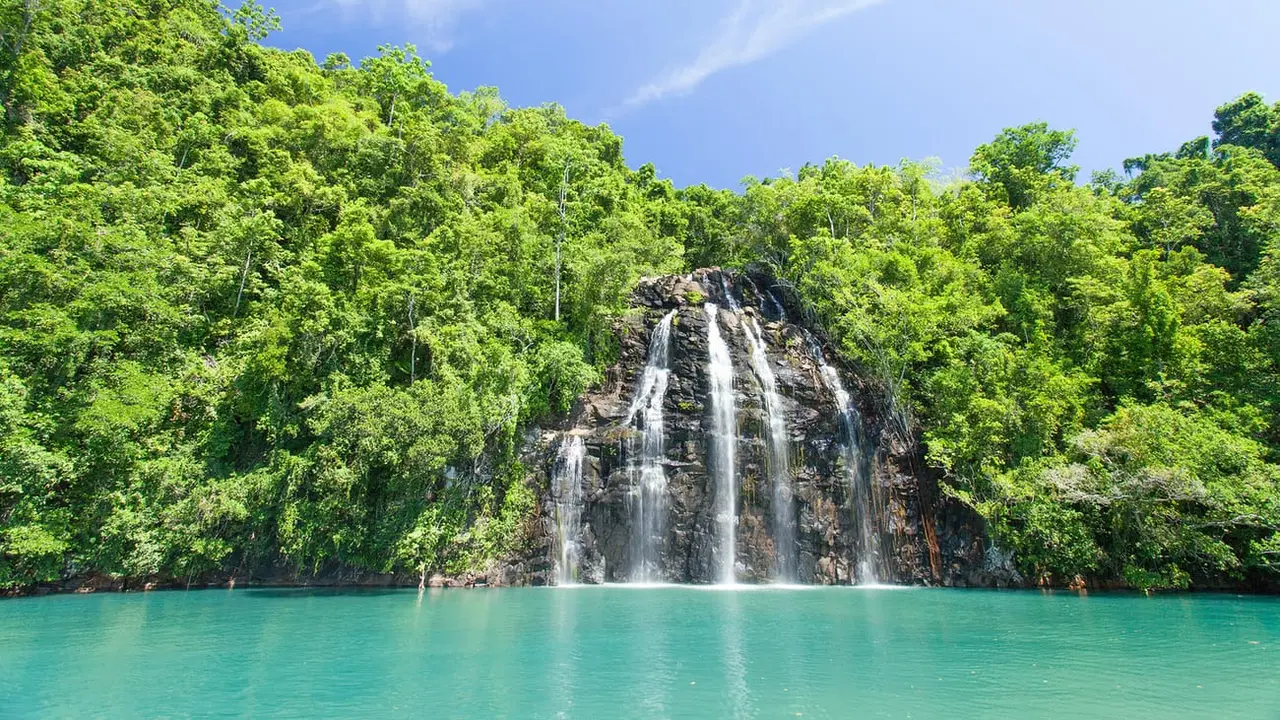[Bintang] Maluku