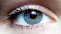 Dikira infeksi mata, setelah pemeriksaan ke dokter ternyata di mata pasien wanita hidup kutu.
