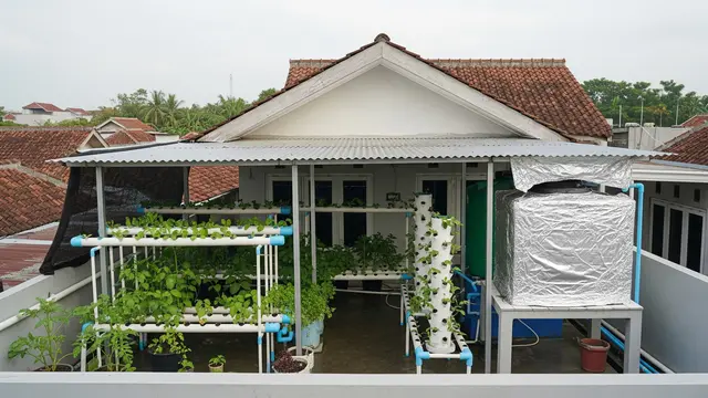 Kebun Hidroponik di Atap Rumah