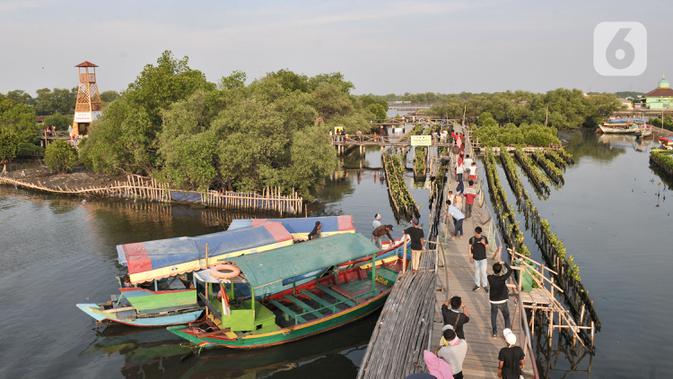 Wisatawan usai menaiki perahu saat mengunjungi Taman Wisata Hutan Bakau (Mangrove) di Desa Segarajaya, Tarumajaya, Bekasi, Jawa Barat (24/11/2019). Taman wisata hutan bakau ini menjadi salah satu destinasi favorit warga, baik dari dalam maupun luar Bekasi. (merdeka.com/Iqbal S. Nugroho)
