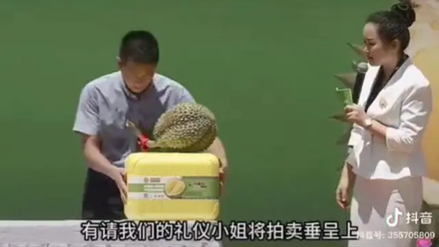 Durian Pertama 'Buatan China' Terjual Hampir Rp824 Juta, Pecahkan Rekor