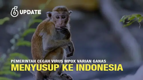 Pemerintah Cegah Virus Mpox Varian Ganas Menyusup ke Indonesia