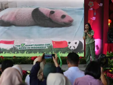 Gambar Satrio Wiratama, yang dijuluki 'Rio', anak panda raksasa pertama yang lahir di Indonesia, ditampilkan di layar selama konferensi pers di Taman Safari Indonesia, Bogor, Jawa Barat, Selasa 6 Januari 2026. Taman Safari Indonesia resmi mengumumkan kelahiran bayi panda raksasa pertama di Indonesia. (AP Photo/Dita Alangkara)