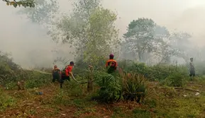 DPR Ungkap Dampak Asap Kebakaran Hutan Kalteng, Tak Cuma ISPA