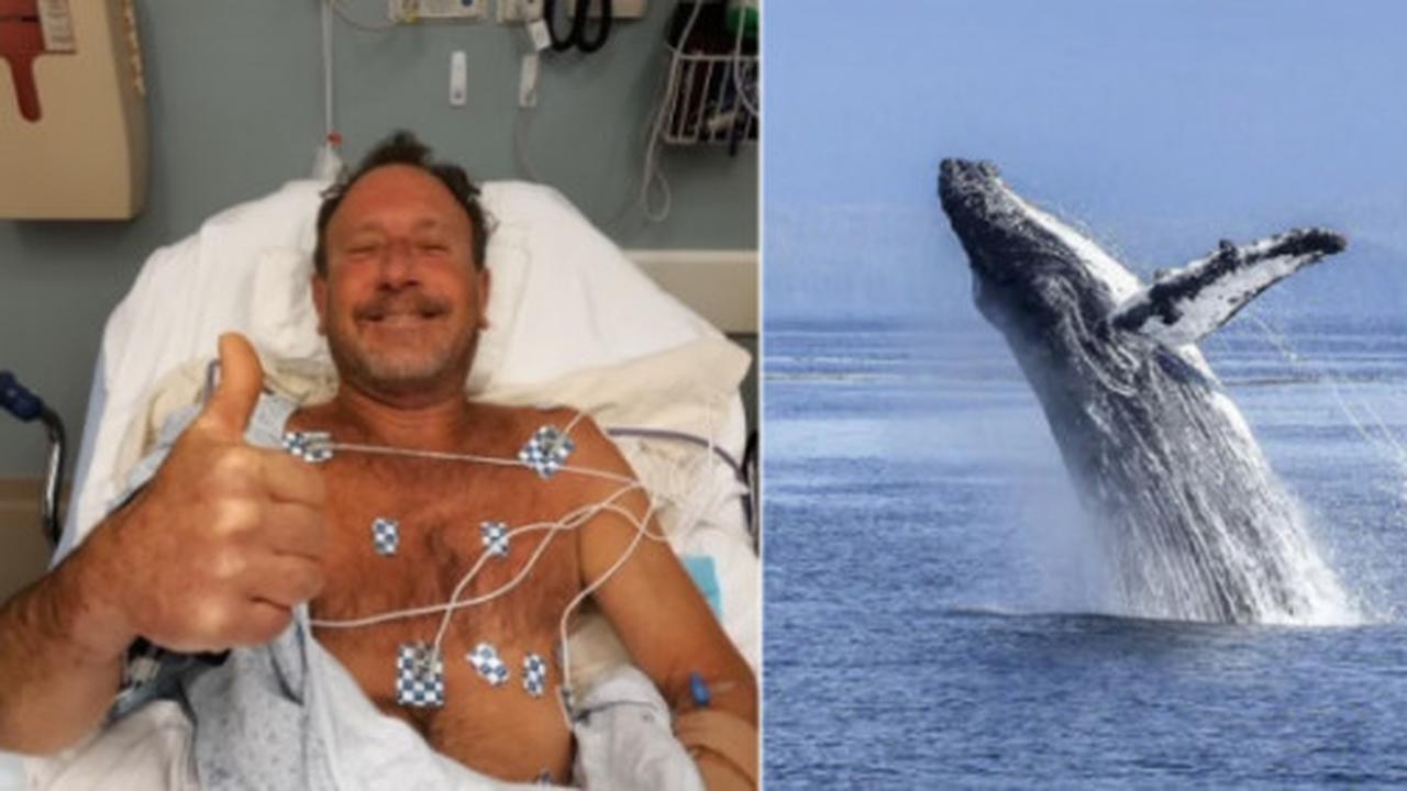 Viral Kisah Nelayan Ditelan Paus Selama 30 Detik, Selamat Usai Dimuntahkan Kembali
