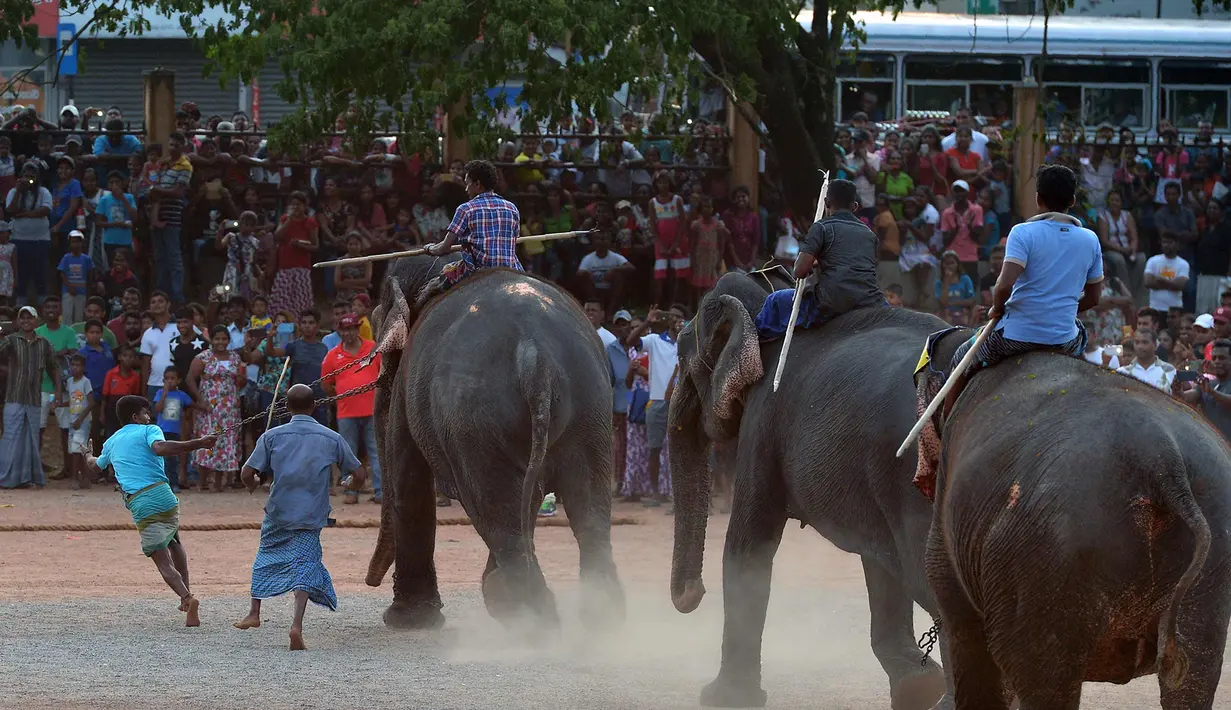 Sejumlah warga menyaksikan pertandingan gajah untuk menandai Tahun Baru Sinhala dan Tamil di Homagama dekat Colombo (21/4). Sejumlah perlombaan diadakan saat tahun baru umat Hindu, Sinhala dan Tamil yang jatuh 14 April. (AFP Photo/Lakruwan Wannirachchi)