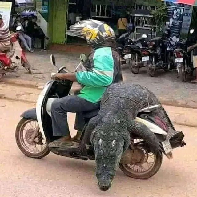6 Tingkah Nyeleneh Bawa Barang Ukuran Gede Ini Kocak, Ada-Ada Saja