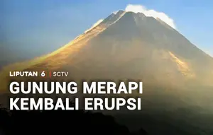 Merapi Erupsi 11 Kali dalam 24 Jam, Awan Panas Meluncur 2 Km